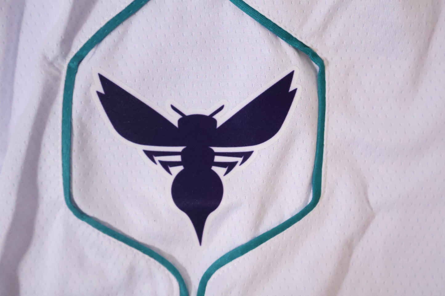Charlotte Hornets Association Edition Shorts 22/23