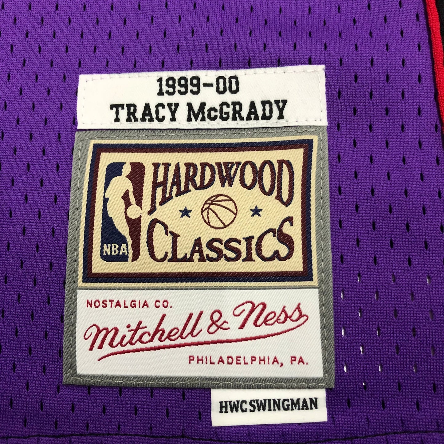 Swingman Toronto Raptors Mitchell & Ness Hardwood Classics 1999/00 Jersey