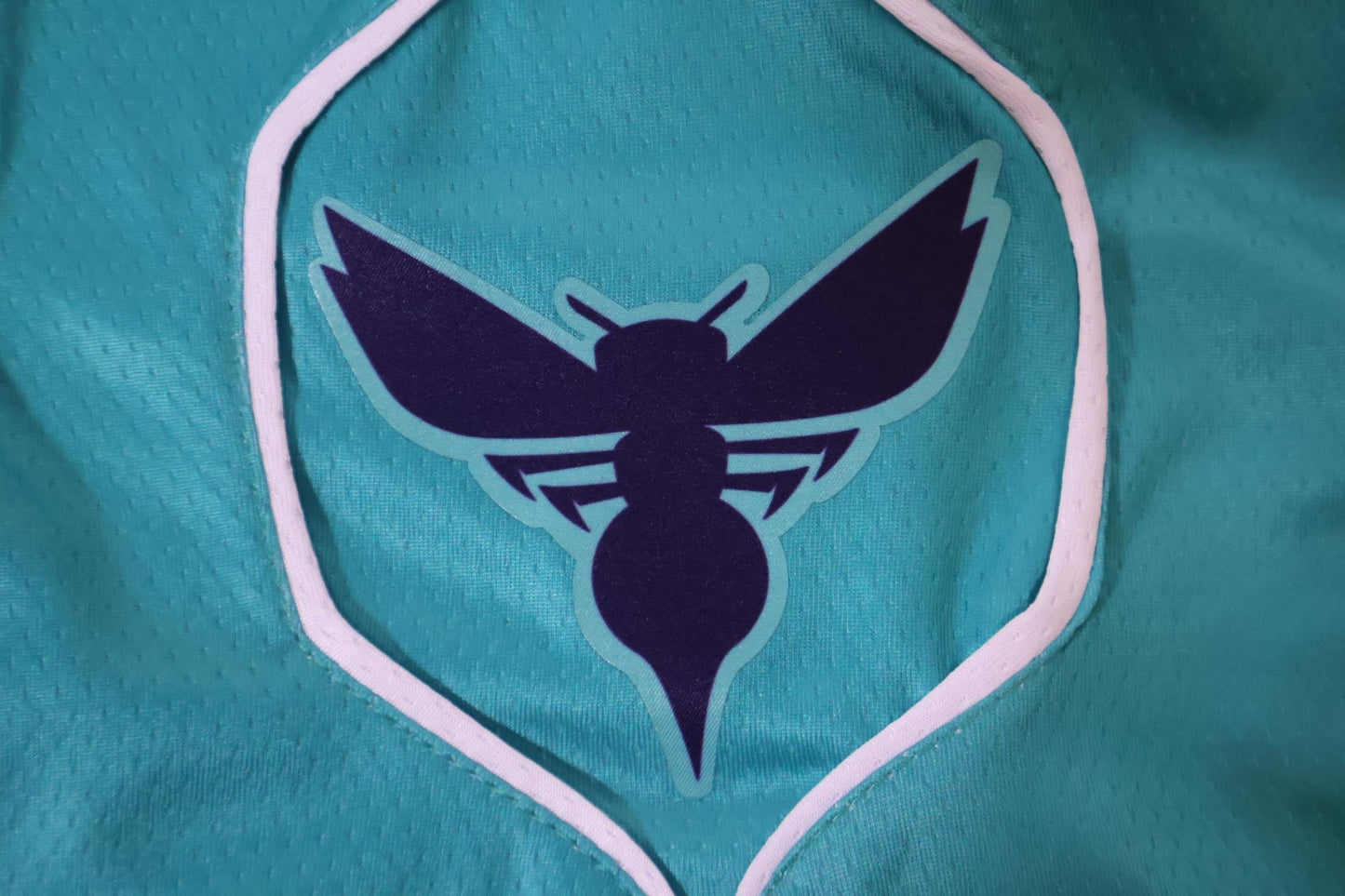Charlotte Hornets Icon Edition Shorts 22/23