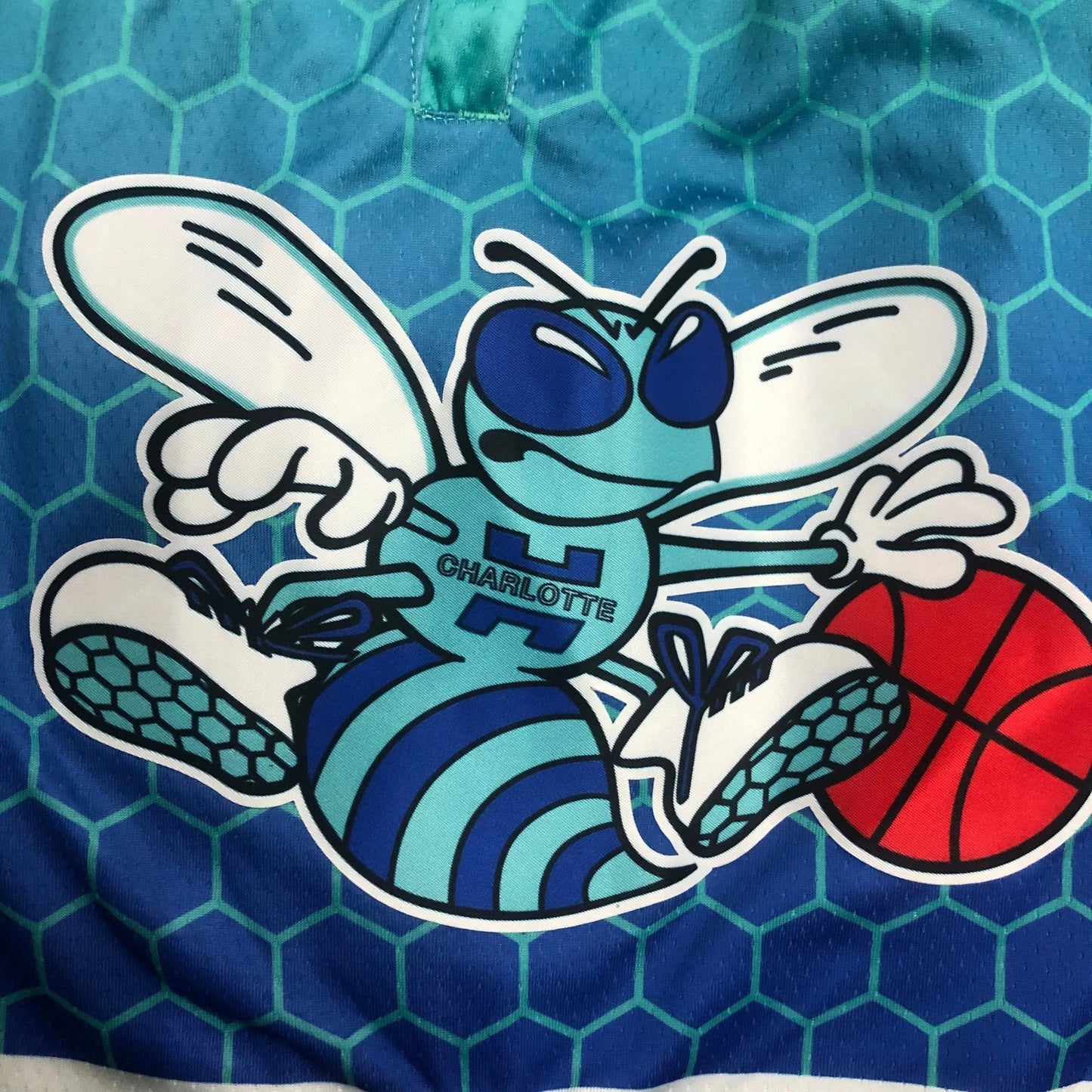 Charlotte Hornets City Edition Diamond 75th Shorts