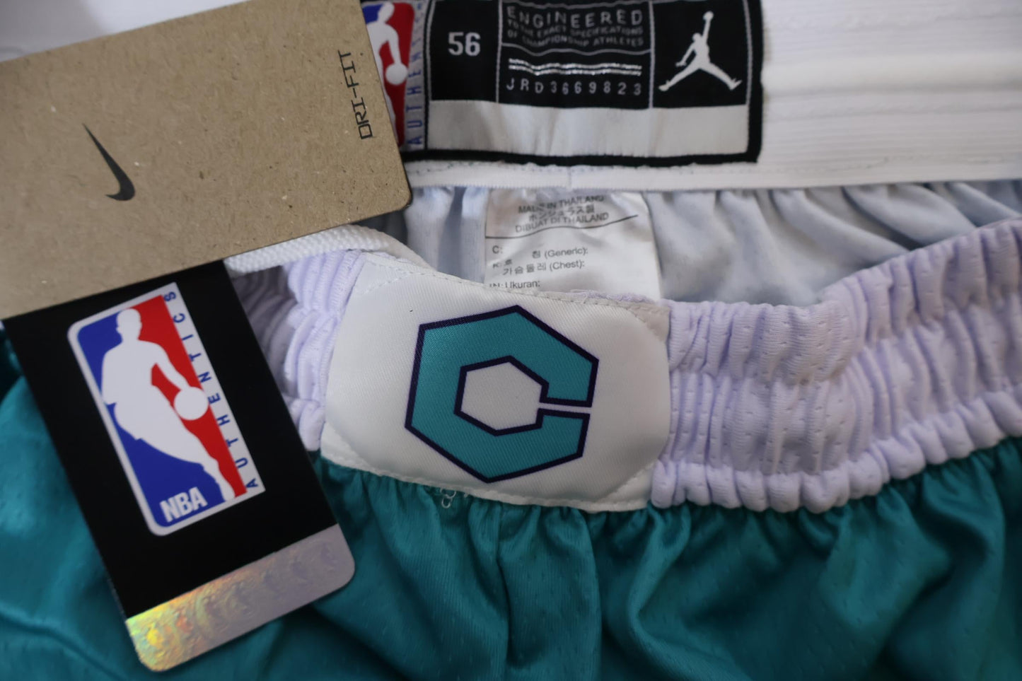 Charlotte Hornets Icon Edition Shorts 22/23