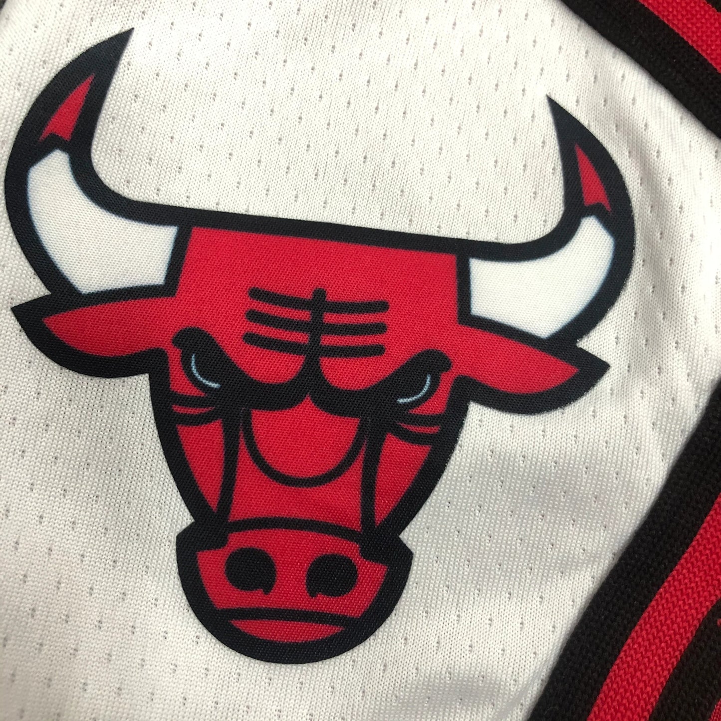 Chicago Bulls Icon Edition Shorts