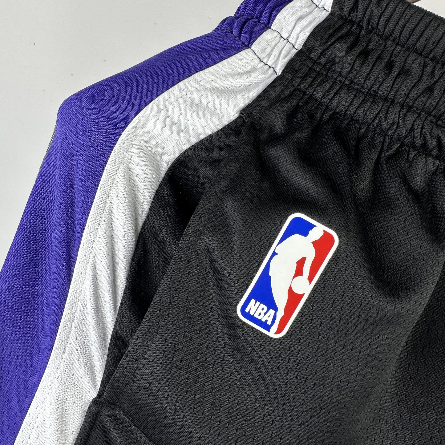Sacramento Kings Icon Edition Shorts